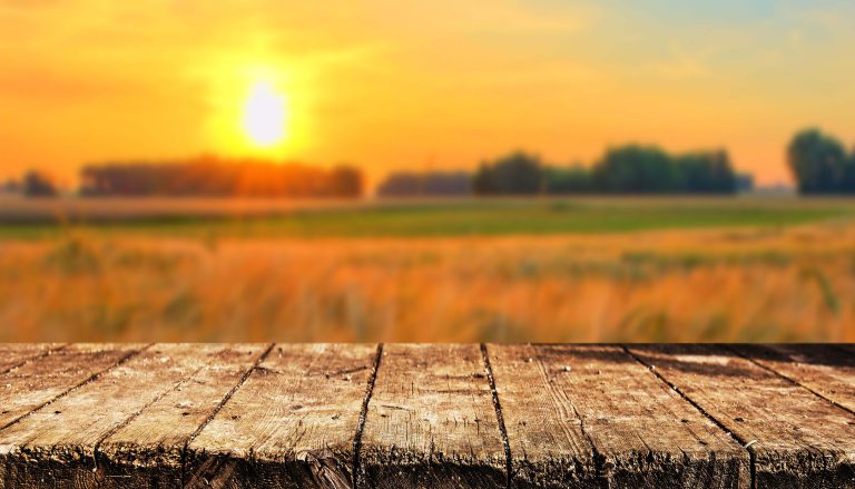 Cum va fi vremea în România, în următoarele patru săptămâni