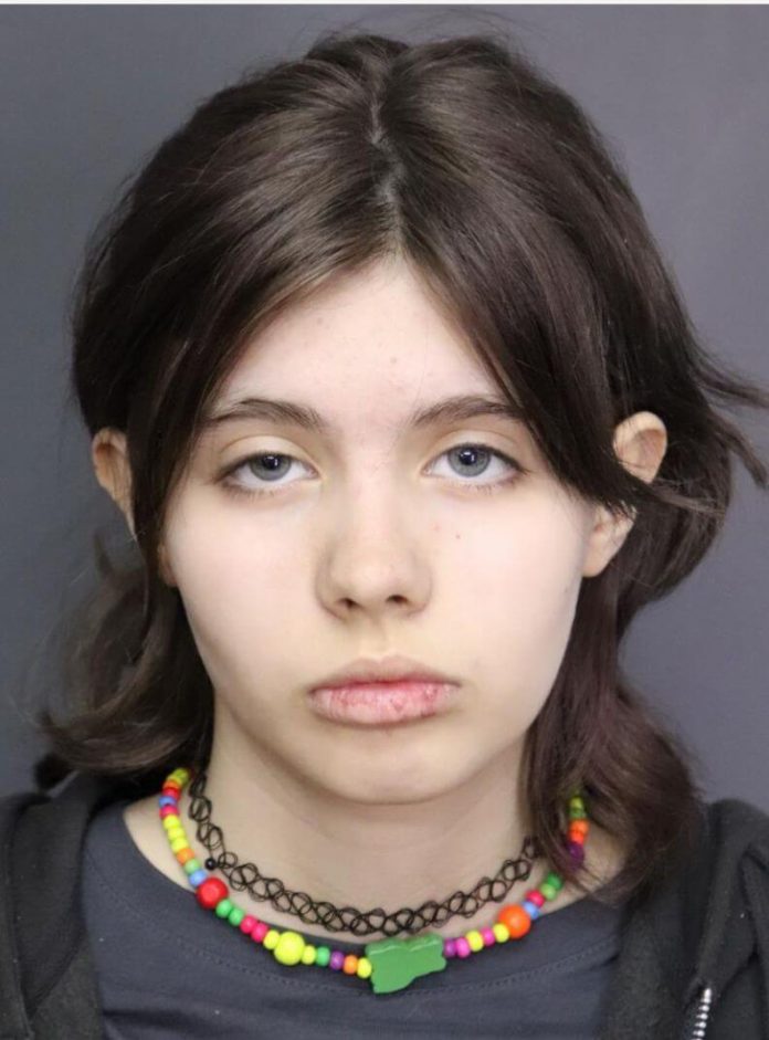Minoră dispărută în Timiș. Mama sa a alertat polițiștii (1)