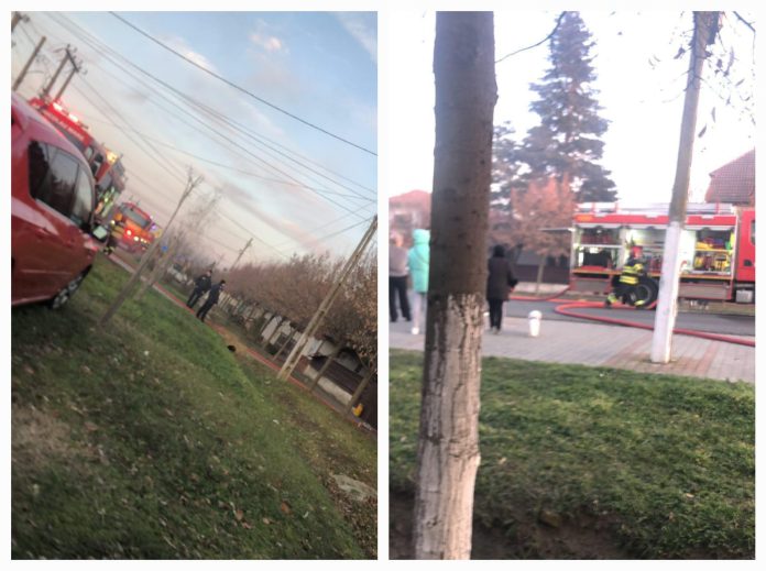 VIDEO. Incendiu la o casă din Sânnicolau Mare