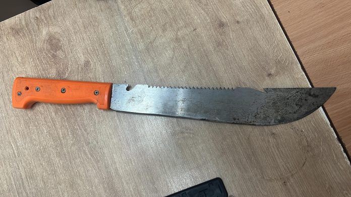Un tânăr înarmat cu o macetă a încercat să intre într-un liceu din Timișoara