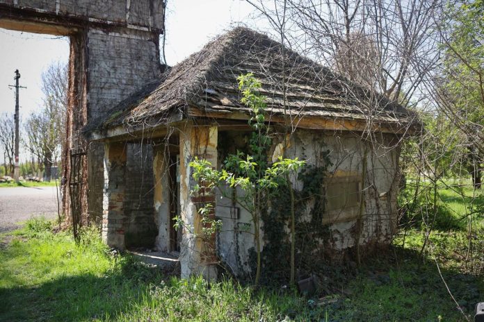 Investiții pe cinci ani pentru readucerea la viață a Castelului de la Banloc