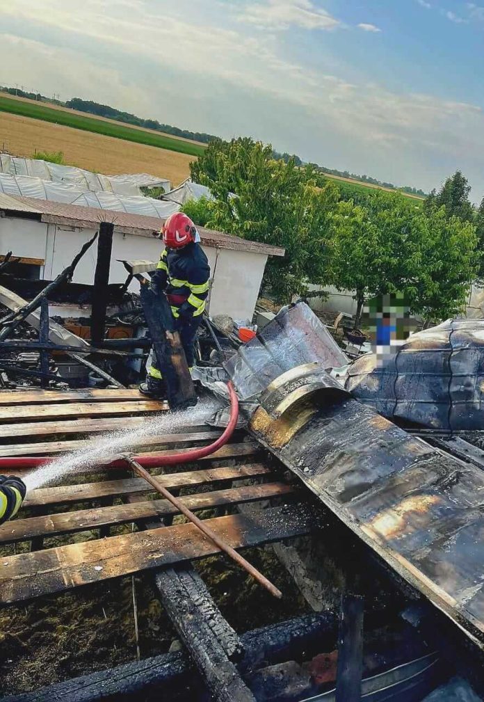 Incendiu în Timiș. O familie a rămas fără acoperișul casei