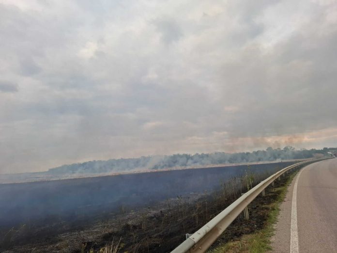 Flăcări pe 30 de hectare, în Timiș. Pagube mari făcute de un incendiu de vegetație