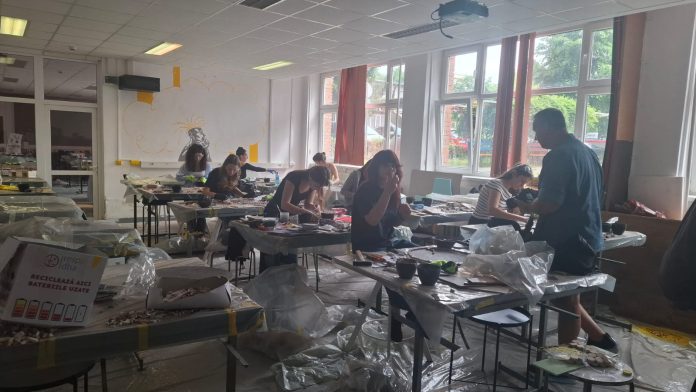 Studenții de la Facultatea de Arhitectură și Urbanism a UPT, artă din mozaic