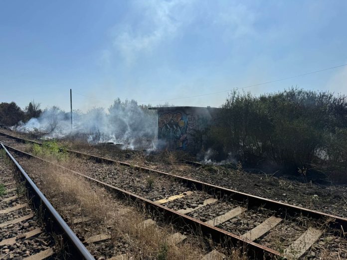 Incendiu de proporții la Timișoara