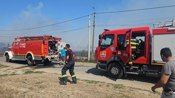 VIDEO. Incendiu la Cenad pompieri intervenție (1)