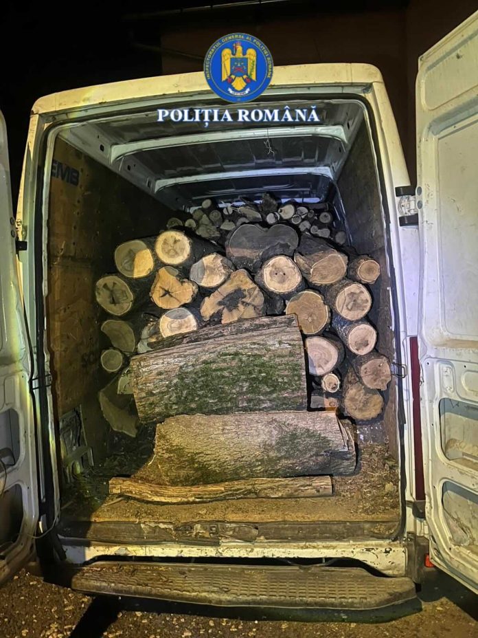 Transport ilegal de lemne, oprit pe DN6, în Timiș