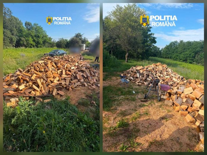 A vrut să fure pădurea din pix. Bărbat din Făget, reținut după perchezițiile poliției
