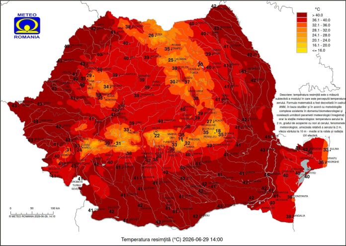 Caniculă extremă în România la Timișoara s-au resimțit 44°C, cea mai ridicată temperatură din țară