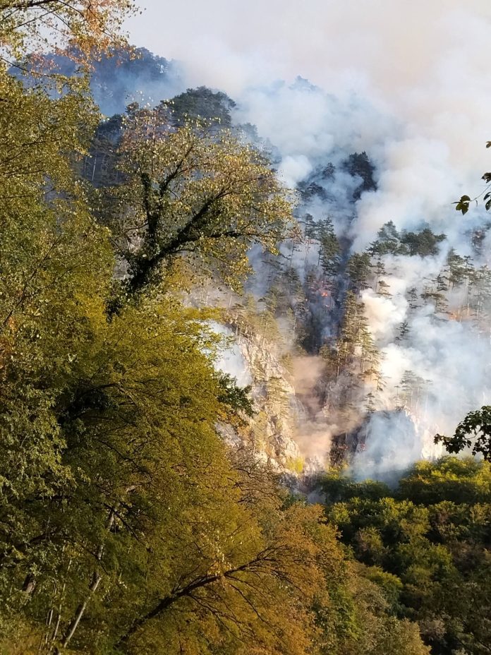 Incendiul care nu se mai stinge pădurea din Băile Herculane arde de la începutul lui august