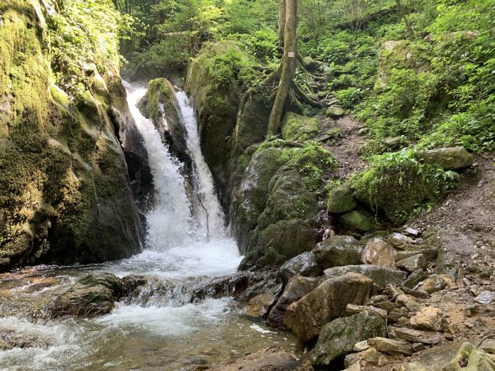 O cascadă, o mocăniță dispărută și o punte neobișnuită. Locul din Timiș perfect pentru o escapadă de weekend