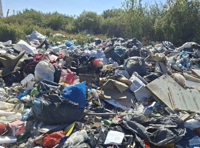 Gunoiul aruncat pe străzi îi costă scump pe timișoreni 45 de amenzi și aproape 500.000 de lei